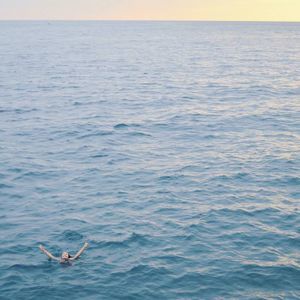 Meet your Posher, Pearl